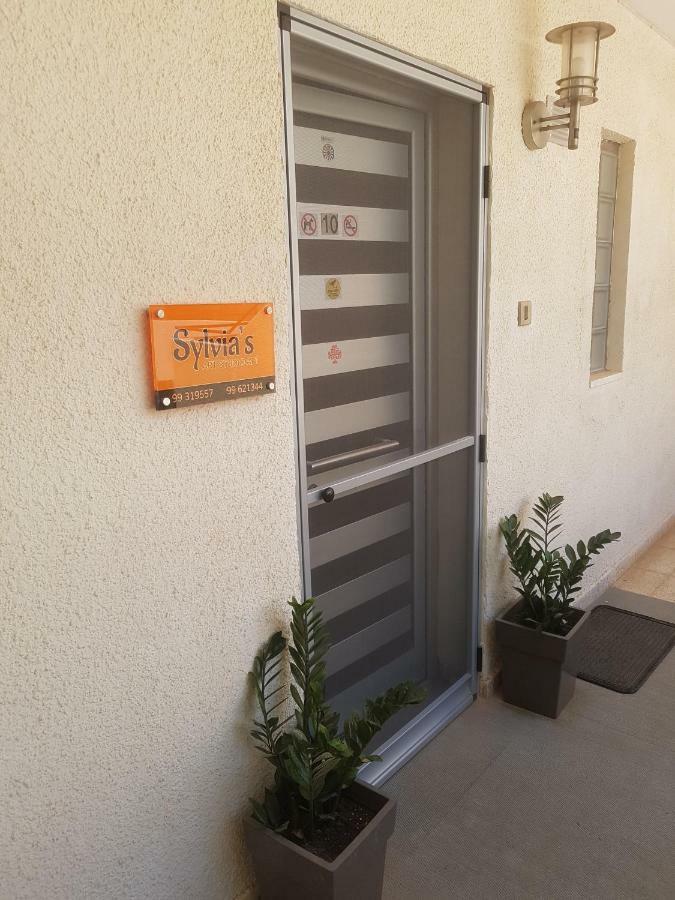 Sylvias Art Studio Apt Ajía Nápa Kültér fotó